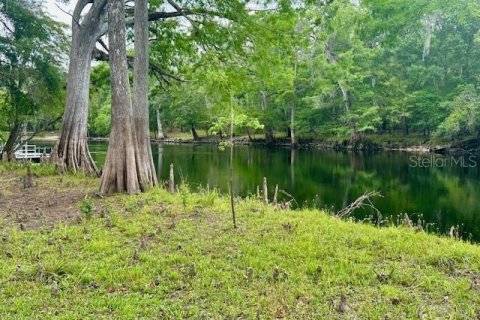 Land in Branford, Florida № 1677464 - photo 2