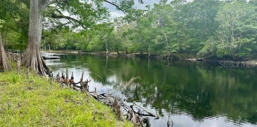 Land in Branford, Florida № 1677464