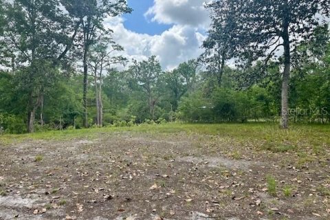 Land in Branford, Florida № 1677464 - photo 4