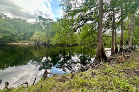 Land in Branford, Florida № 1677464 - photo 8