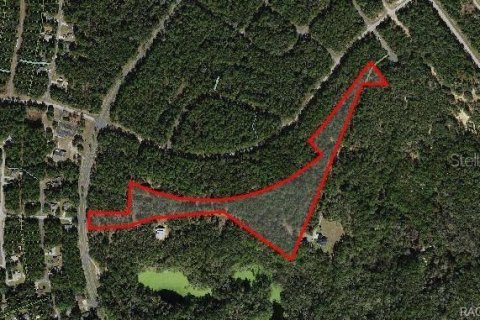 Land in Citrus Springs, Florida № 1883959 - photo 1