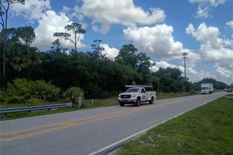 Terrain à Punta Gorda, Floride № 2094655