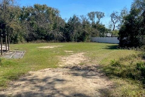 Land in Eustis, Florida № 2160895 - photo 4
