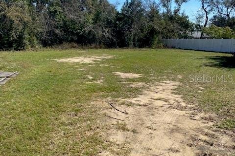 Land in Eustis, Florida № 2160895 - photo 5
