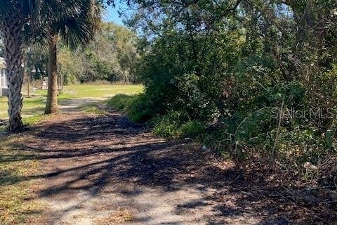 Land in Eustis, Florida № 2160895 - photo 3
