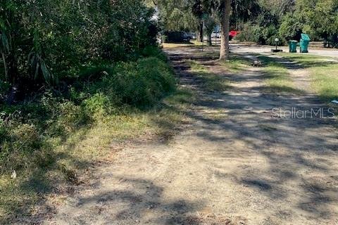 Land in Eustis, Florida № 2160895 - photo 8