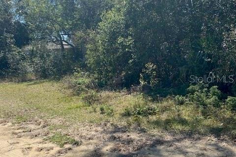 Land in Eustis, Florida № 2160895 - photo 6