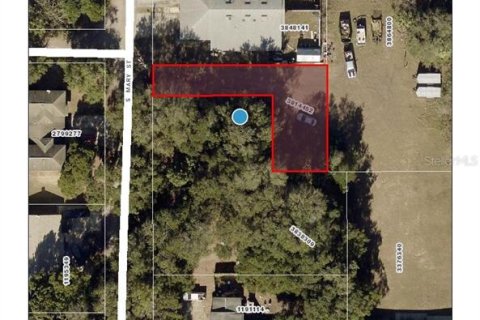 Land in Eustis, Florida № 2160895