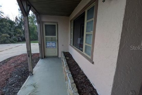 Villa ou maison à vendre à Weeki Wachee, Floride: 4 chambres, 354.05 m2 № 2419271 - photo 8