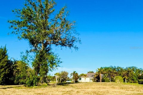 Land in Rotonda, Florida № 1542171 - photo 8