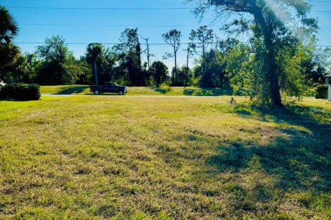 Land in Rotonda, Florida № 1542171 - photo 10