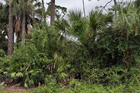 Land in Port Charlotte, Florida № 2160904