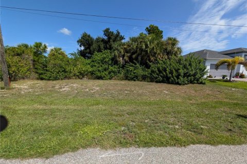 Land in Rotonda, Florida № 2384172 - photo 3