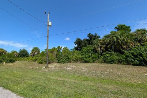 Land in Rotonda, Florida № 2384172 - photo 4