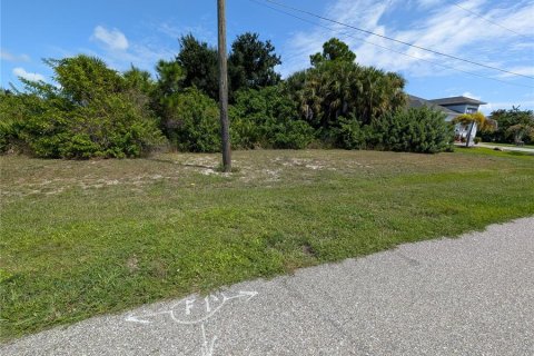 Land in Rotonda, Florida № 2384172 - photo 6