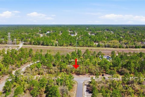 Land in Dunnellon, Florida № 2158972 - photo 8