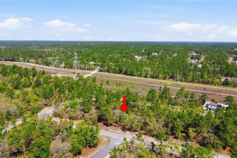 Land in Dunnellon, Florida № 2158972 - photo 11