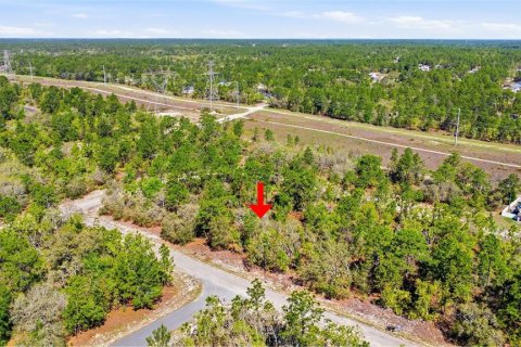 Land in Dunnellon, Florida № 2158972 - photo 10