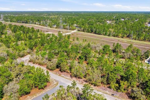 Land in Dunnellon, Florida № 2158972 - photo 9
