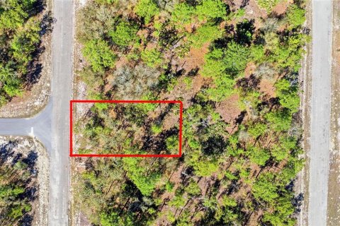 Land in Dunnellon, Florida № 2158972