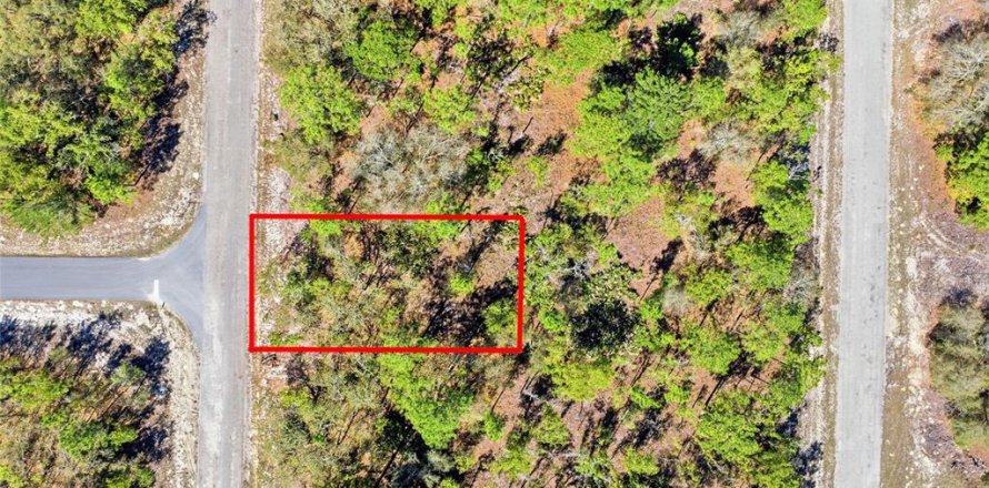 Land in Dunnellon, Florida № 2158972