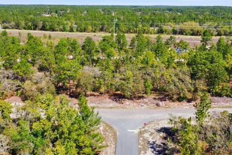 Land in Dunnellon, Florida № 2158972 - photo 3