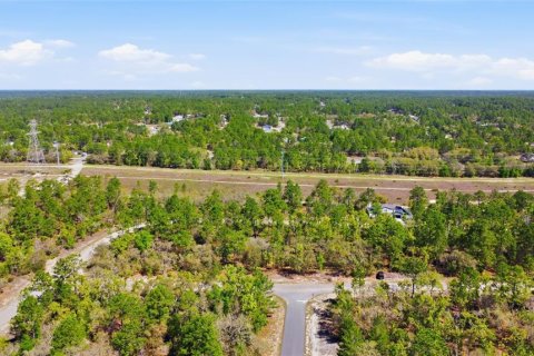 Land in Dunnellon, Florida № 2158972 - photo 7
