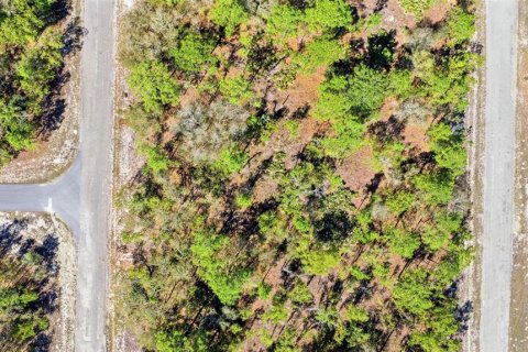 Land in Dunnellon, Florida № 2158972 - photo 2