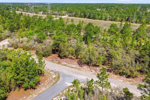 Land in Dunnellon, Florida № 2158972 - photo 5