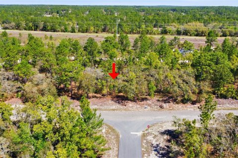 Land in Dunnellon, Florida № 2158972 - photo 4