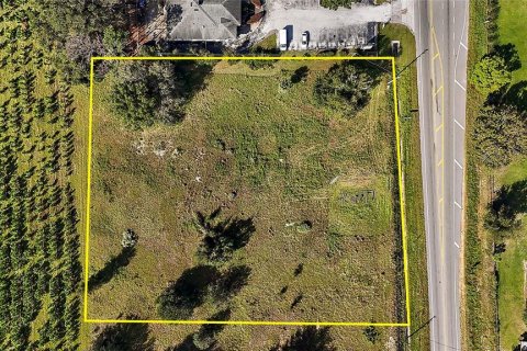 Land in Sorrento, Florida № 1420855 - photo 13