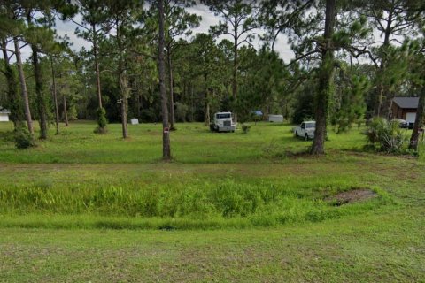 Land in Christmas, Florida № 928653 - photo 2