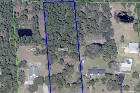 Land in Christmas, Florida № 928653 - photo 3