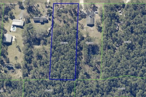Land in Christmas, Florida № 928653 - photo 4