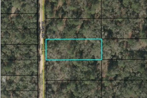 Terreno en Jasper, Florida № 2164388