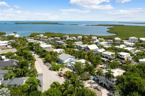 House in Tavernier, Florida 4 bedrooms, 297.66 sq.m. № 2261568 - photo 4