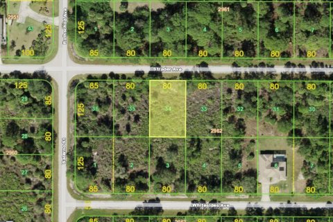 Land in Port Charlotte, Florida № 2160368