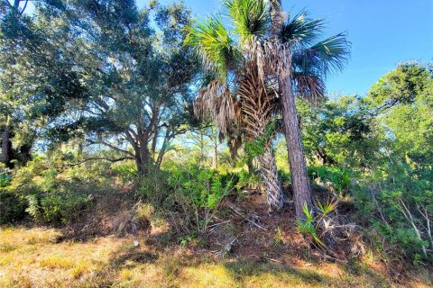 Land in Port Charlotte, Florida № 2165495 - photo 4