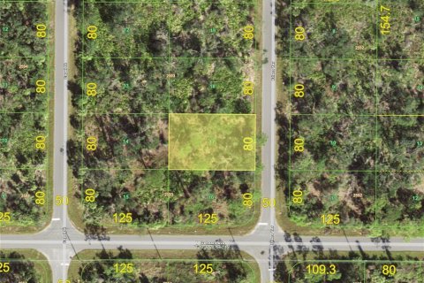 Land in Port Charlotte, Florida № 2165495
