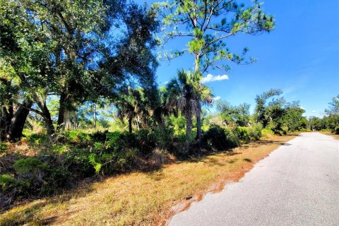 Land in Port Charlotte, Florida № 2165495 - photo 5