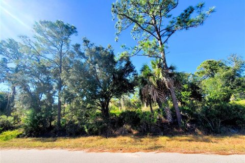 Land in Port Charlotte, Florida № 2165495 - photo 2