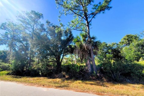 Land in Port Charlotte, Florida № 2165495 - photo 3