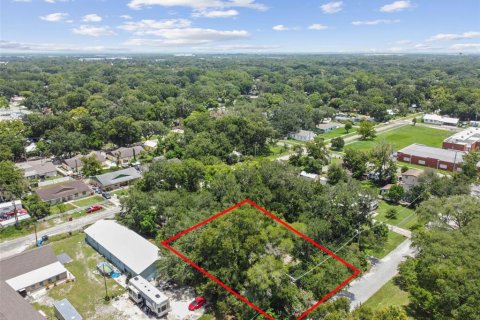 Terreno en venta en Plant City, Florida № 1307959 - foto 9
