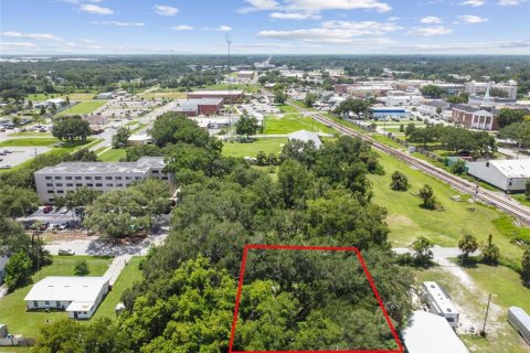 Terreno en venta en Plant City, Florida № 1307959 - foto 14