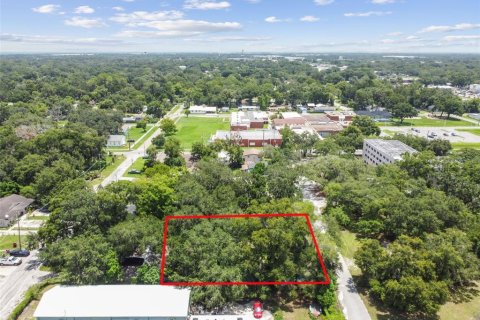Terreno en venta en Plant City, Florida № 1307959 - foto 16