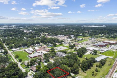 Terreno en venta en Plant City, Florida № 1307959 - foto 24