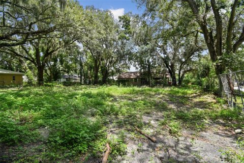 Terreno en venta en Plant City, Florida № 1307959 - foto 2
