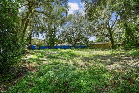 Terreno en venta en Plant City, Florida № 1307959 - foto 3