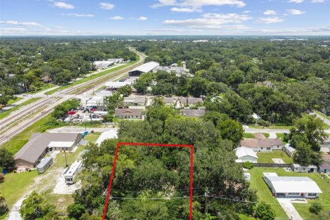 Terreno en venta en Plant City, Florida № 1307959 - foto 10