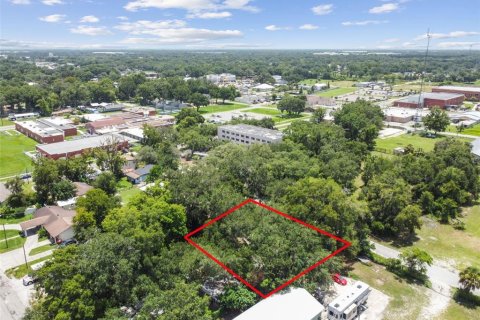 Terreno en venta en Plant City, Florida № 1307959 - foto 15